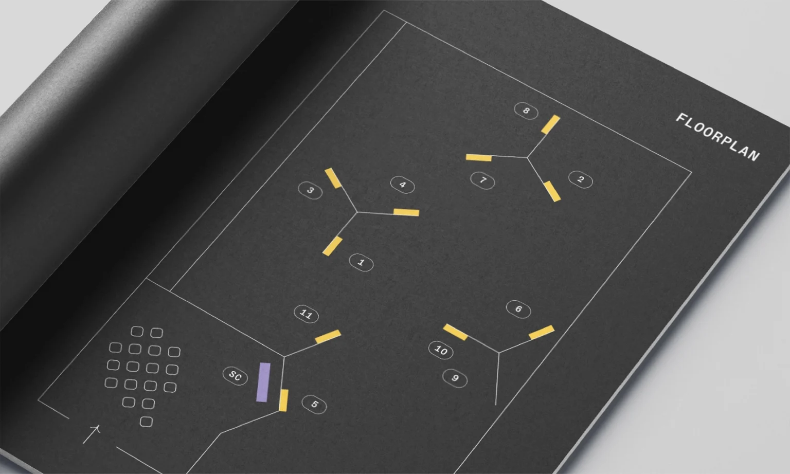 Product Strategy and Project Coordination