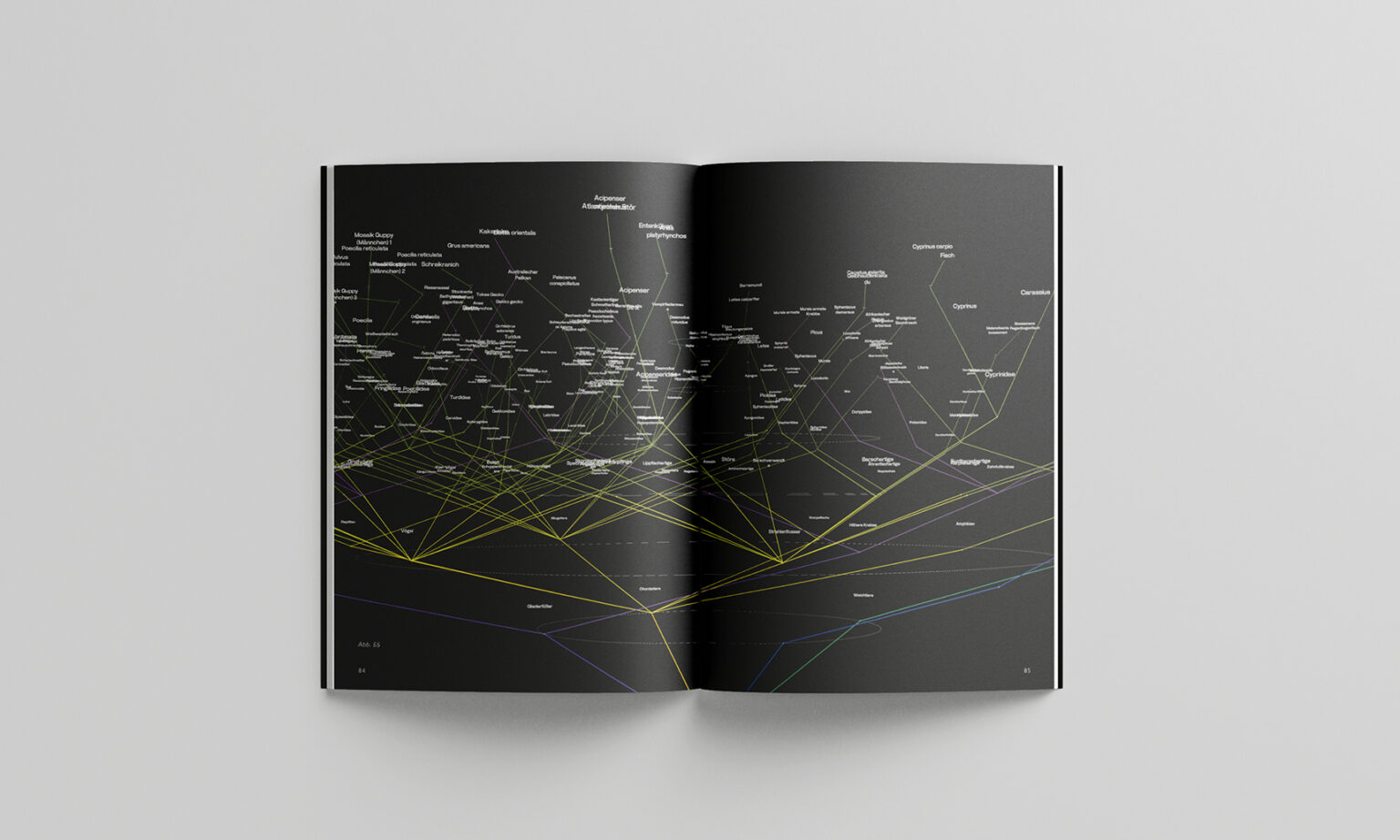 Spatial Experiences for Complex Information